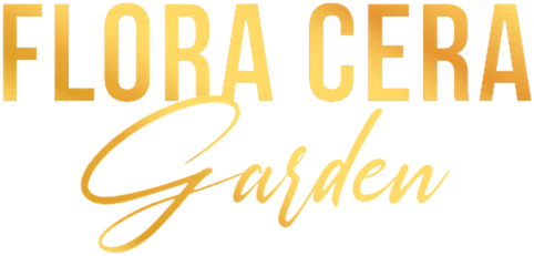 Quản lý nội dung đầu trang